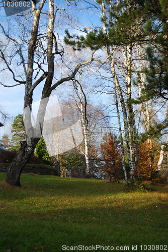 Image of Autumn in countryside