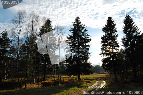 Image of Autumn in countryside