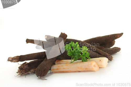 Image of Salsify