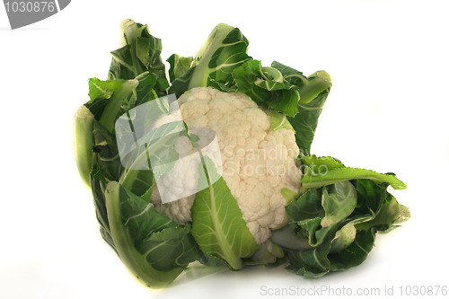 Image of Cauliflower