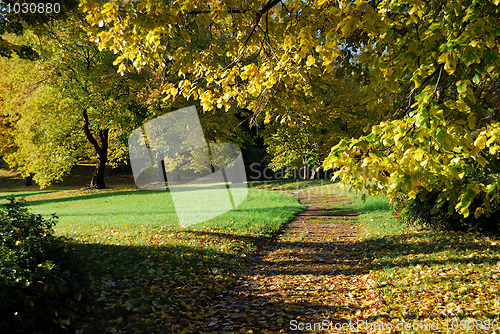 Image of Autumn morning