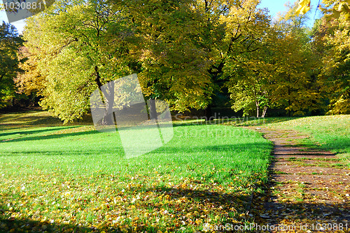 Image of Autumn morning