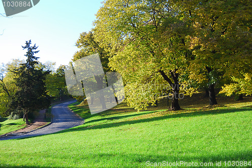 Image of Autumn morning