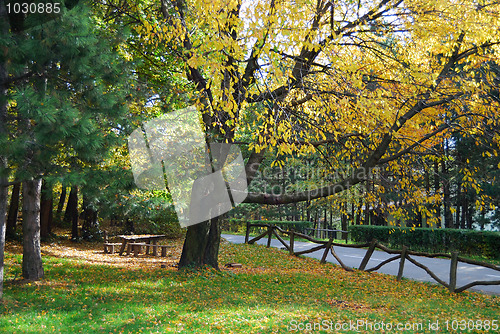 Image of Autumn morning