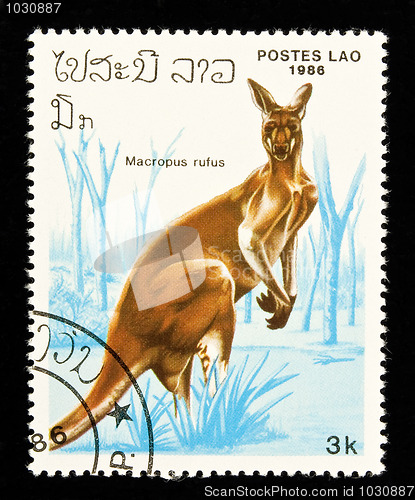 Image of Kangaroo stamp.