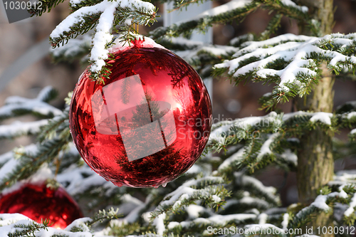 Image of Christmas bauble on fir tree