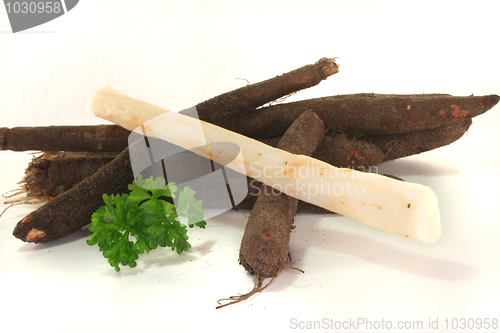 Image of Salsify