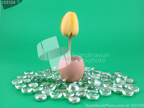 Image of Easter decoration