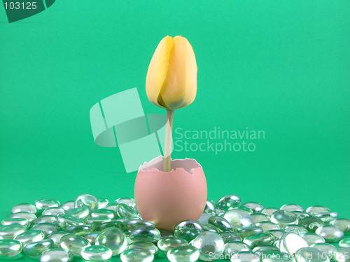 Image of Easter decoration