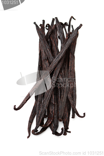 Image of vanilla