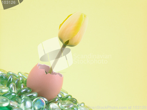 Image of Easter decoration