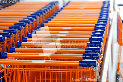 Image of Shopping carts