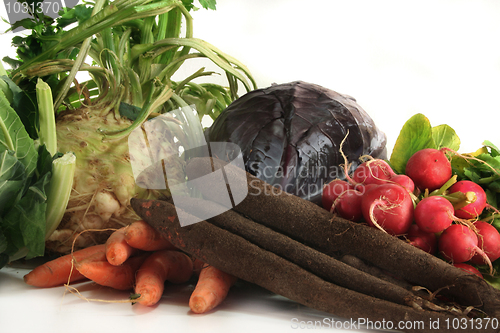 Image of Winter vegetables