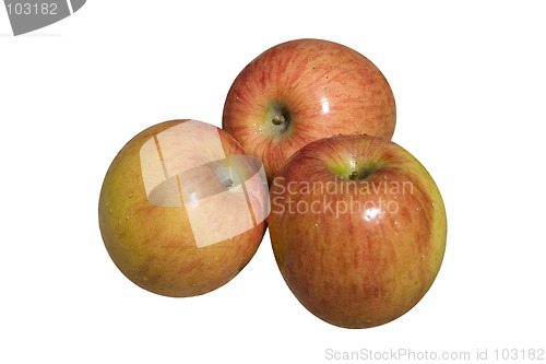 Image of apples