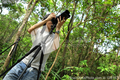 Image of Photographer in forest