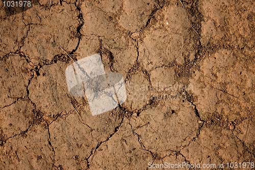 Image of dry cracked earth