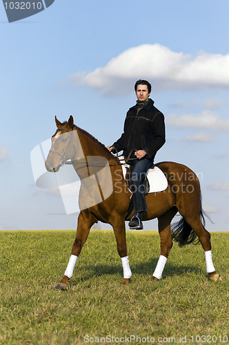 Image of Novice Horse Rider