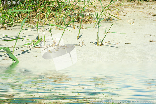 Image of sand beach