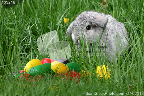 Image of Easter bunny