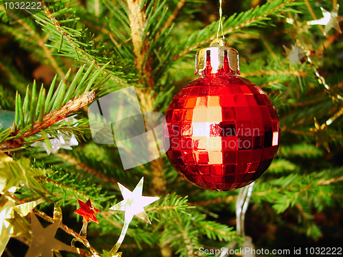 Image of Christmas tree