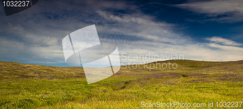 Image of Green meadow