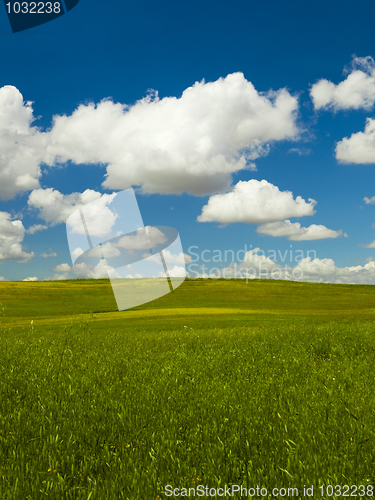 Image of Green meadow