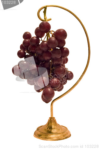 Image of Hanging Grapes