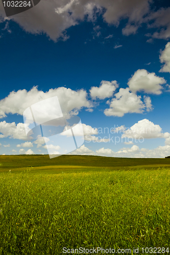 Image of Green meadow