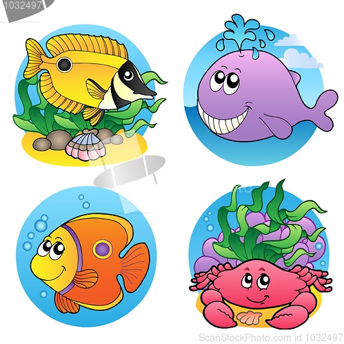 Image of Various water animals and fishes 2