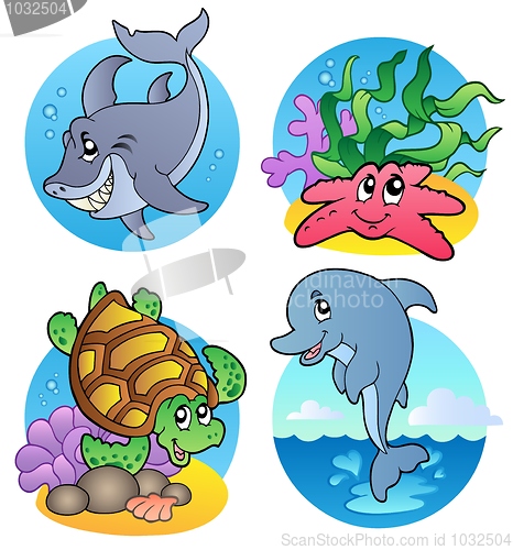 Image of Various sea animals and fishes