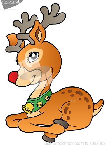 Image of Young Christmas reindeer 1