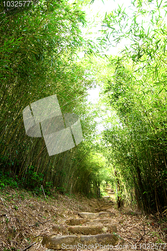 Image of Bamboo lane 