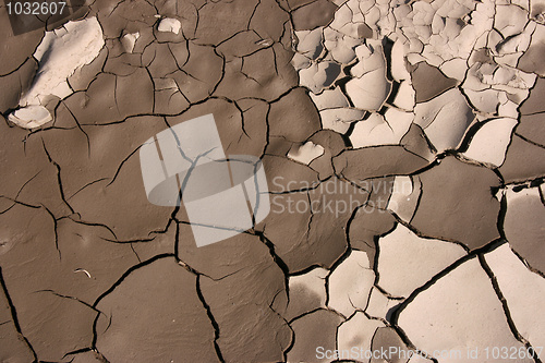 Image of Cracked mud background
