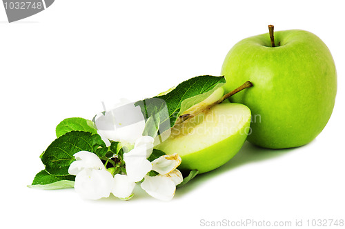 Image of green apple and blossoming branch 