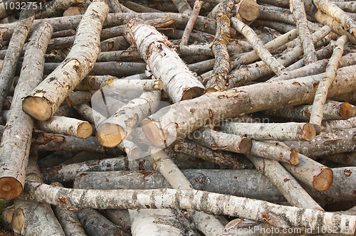 Image of  Heaped aspen logs, a close up 