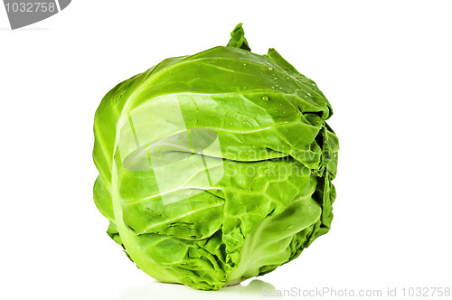 Image of  young cabbage, it is isolated on white 