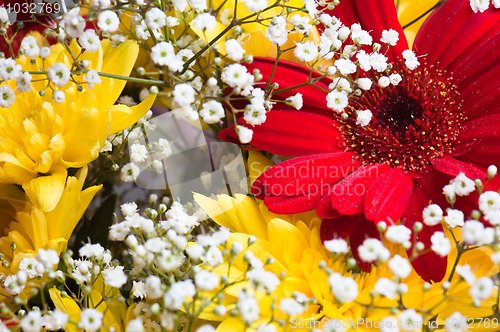 Image of Autumn bouquet of flowers a close up, a background