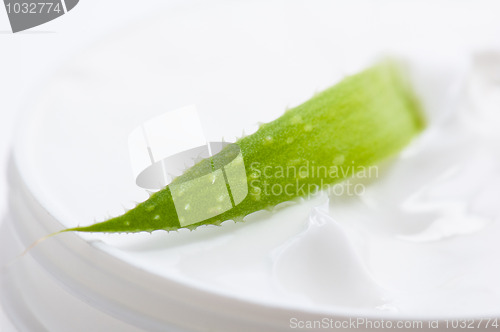 Image of Aloe and face cream 