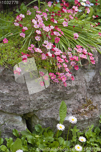 Image of Well-groomed spring garden 