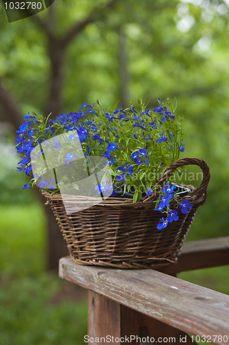 Image of Basket with flowers on a rail 