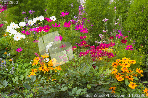 Image of Well-groomed spring garden