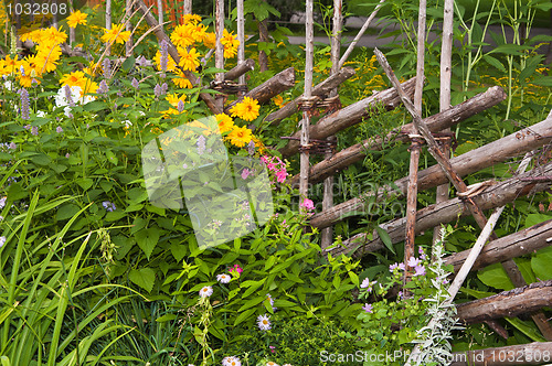 Image of Well-groomed spring garden