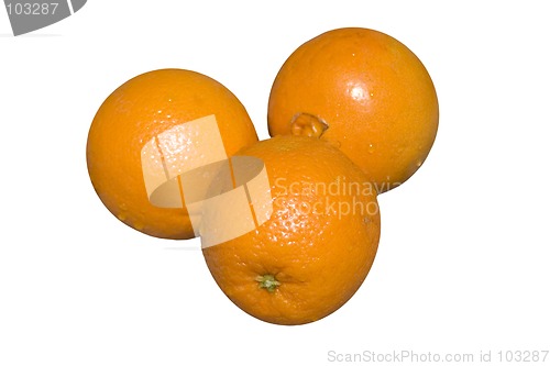 Image of Oranges