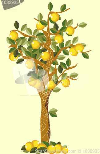 Image of Lemon tree