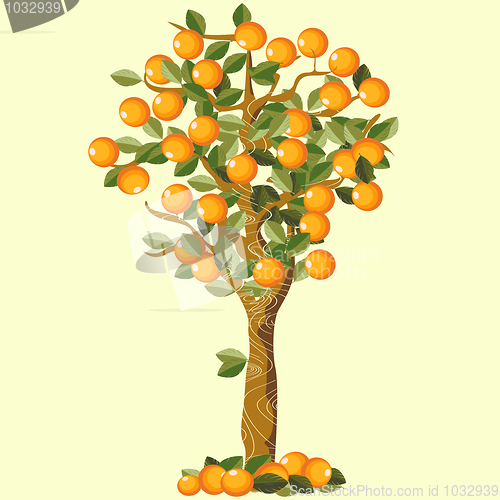 Image of Orange tree