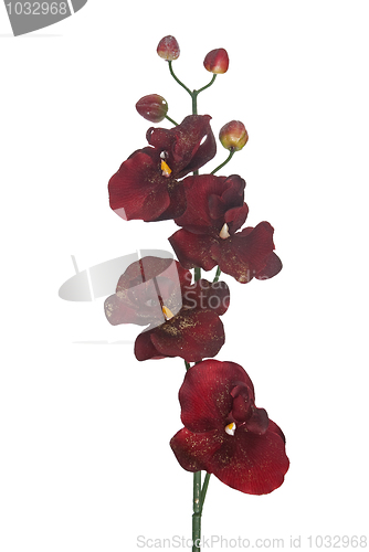 Image of Red Christmas decoration