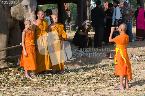 Image of The Annual Elephant Roundup in Surin, Thailand