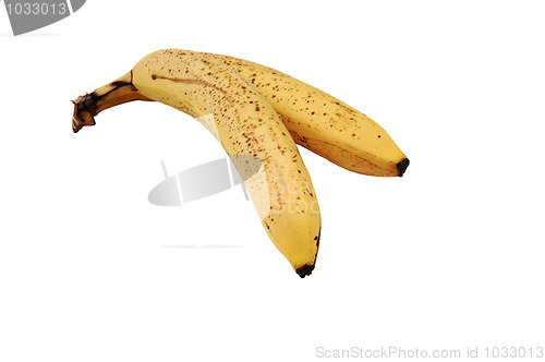 Image of Two bananas.