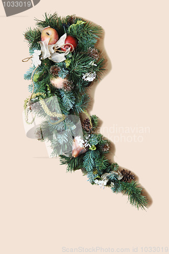 Image of Christmas decoration.