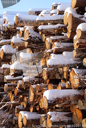 Image of Stacked Firewood in Winter Snow